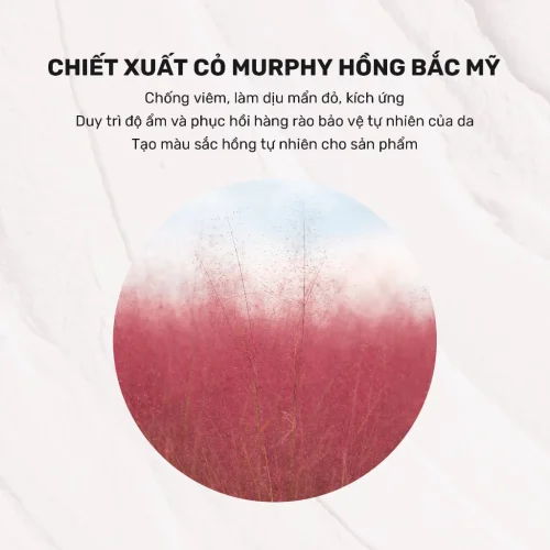 Mặt Nạ Đất Sét Hút Dầu Kiểm Soát Nhờn - Derladie Vegan Pink Clay Mask Deep Pore Tightening 60g/120g - Ảnh 3